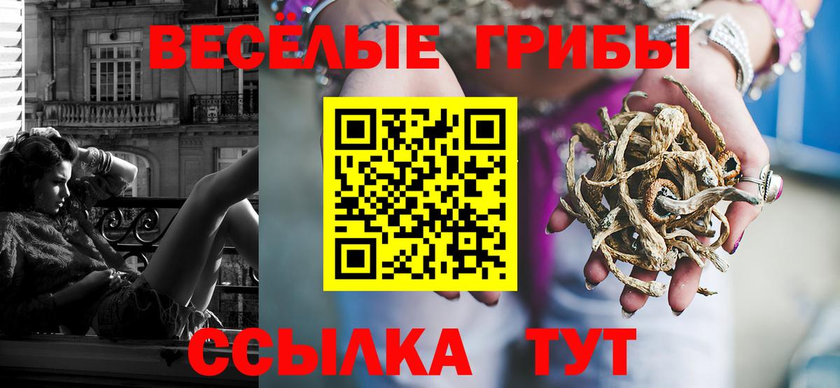 Галлюциногенные грибы GOLDEN TEACHER  Вход с VPN  Троицк 