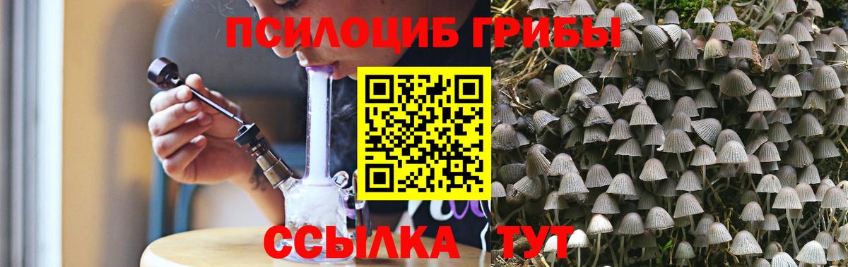 Псилоцибиновые грибы прущие грибы Троицк